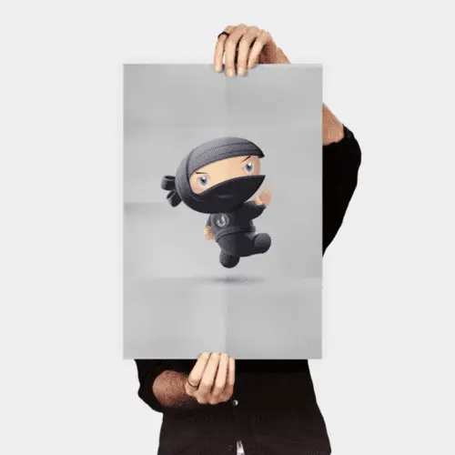 Flying Ninja (نسخة)